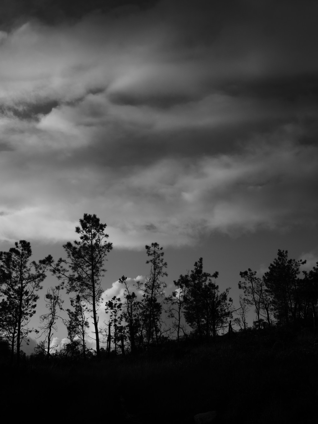 Les dispositifs d&rsquo;écritures 1.